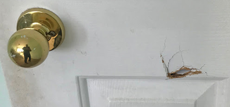 interior door hole repair Fairview