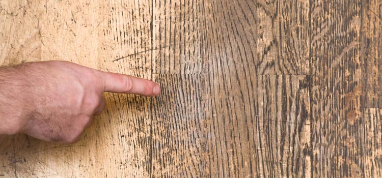 Wood Door Scratch Repair in Fairview